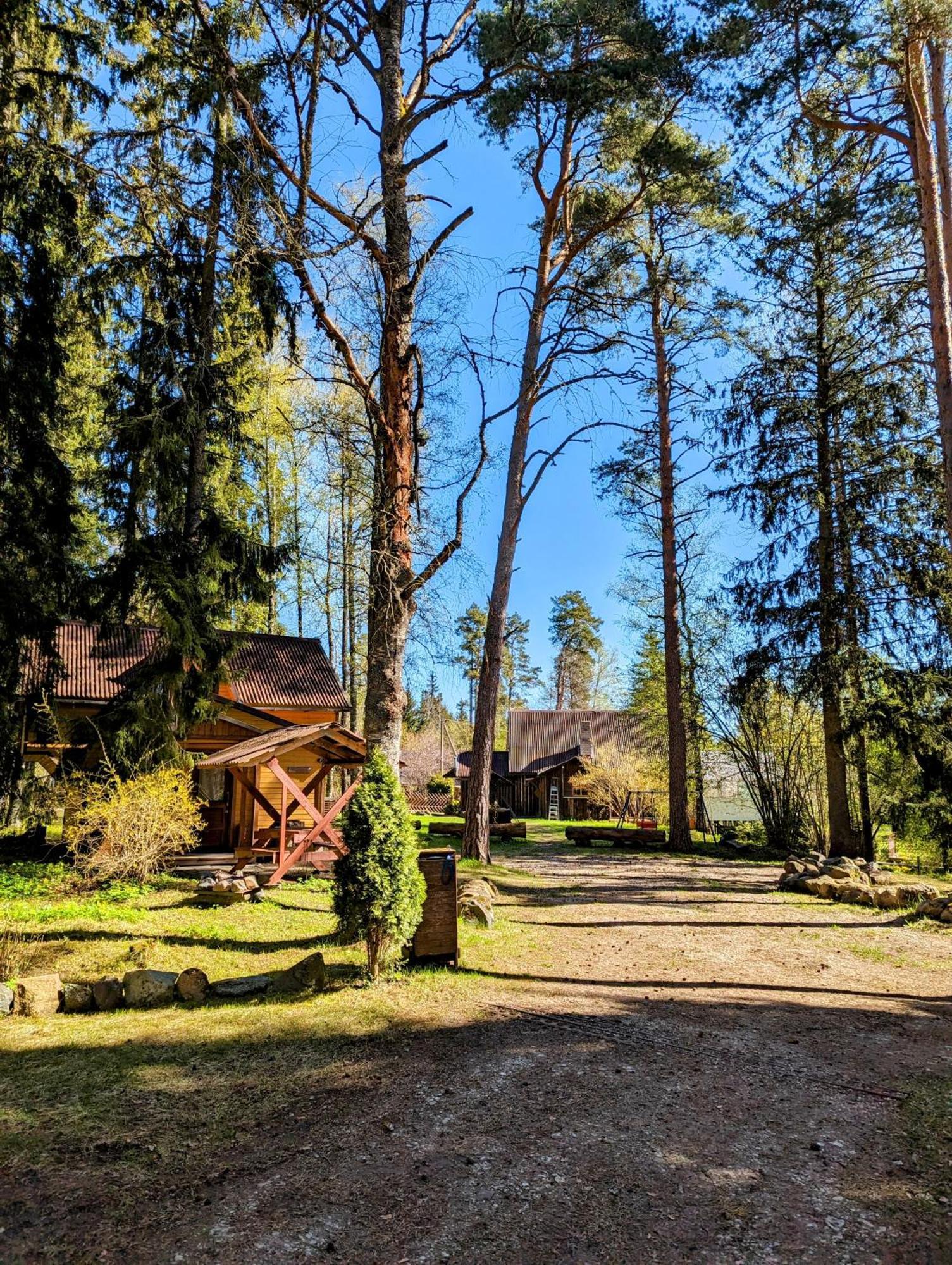 Rehe Turismitalu Pensionat Kuijõe Exteriör bild